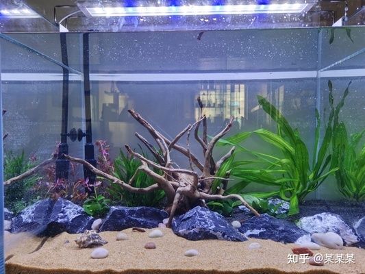 創寧低壓變頻泵怎么樣（創寧低壓變頻泵怎么樣啊）