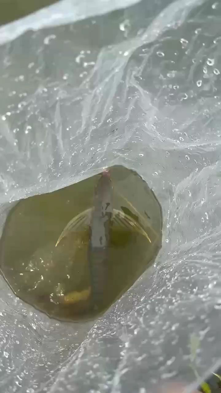 下池深造，3年后見