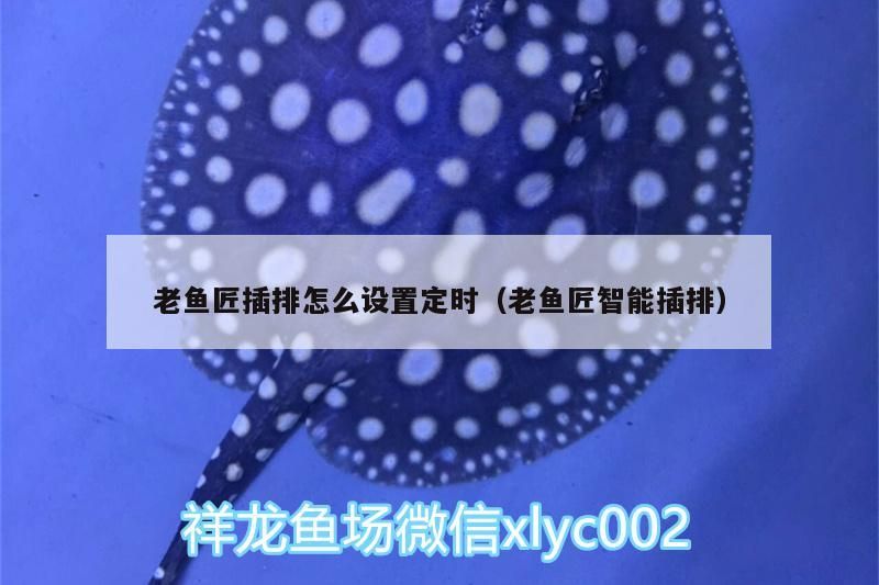 老魚匠插排怎么設置定時（老魚匠智能插排）