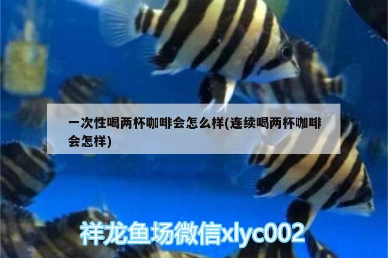一次性喝兩杯咖啡會怎么樣(連續喝兩杯咖啡會怎樣)