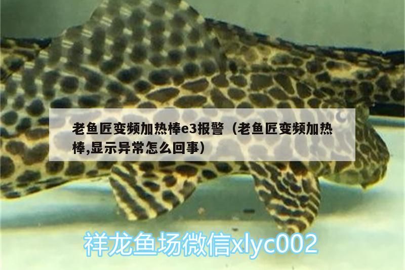 老魚匠變頻加熱棒e3報警（老魚匠變頻加熱棒,顯示異常怎么回事） 老魚匠變頻加熱棒e3報警（老魚匠變頻加熱棒,顯示異常怎么回事） 老魚匠