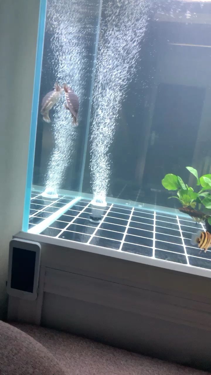 森森增氧泵售后電話 森森增氧泵售后電話 森森魚缸