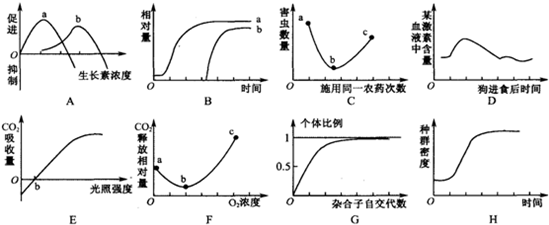 屬龍人財運方位解析，找準財位，助你財運亨通！屬龍人2024年財運方位指南，找準財位旺整年