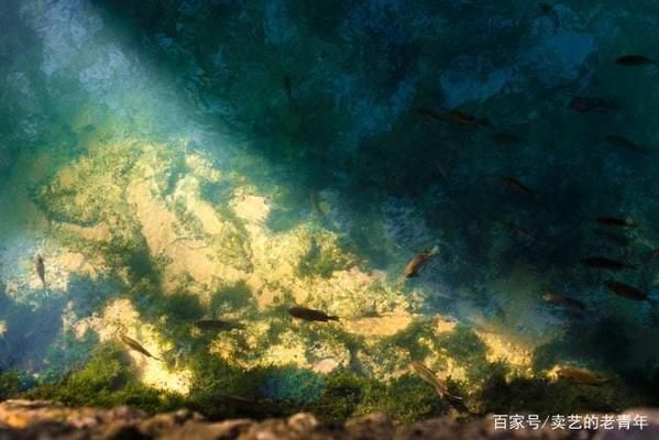 屬龍女佩戴玉龍觀音好不好？解析玉龍觀音的寓意與佩戴講究，屬龍女佩戴玉龍觀音的寓意與講究解析