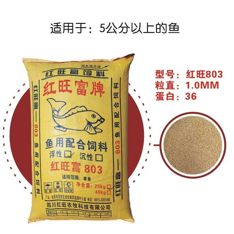 5公分的虎魚喂什么飼料好：5公分的虎魚喂什么飼料好5公分的虎魚喂什么飼料好 5公分的虎魚喂什么飼料好：5公分的虎魚喂什么飼料好5公分的虎魚喂什么飼料好 虎魚百科 第1張