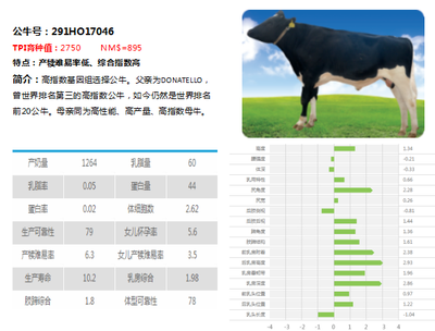 屬龍的手機號碼最佳組合，數字能量與生肖運勢的完美結合，屬龍者必看！手機號最佳數字組合助你運勢騰飛