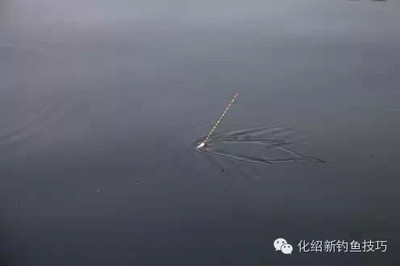 屬猴的帶龍不能亂戴，生肖相沖的禁忌與化解之道，屬猴者慎戴龍飾，生肖相沖的禁忌與化解方法全解析 屬猴的帶龍不能亂戴，生肖相沖的禁忌與化解之道，屬猴者慎戴龍飾，生肖相沖的禁忌與化解方法全解析 龍魚百科 第3張