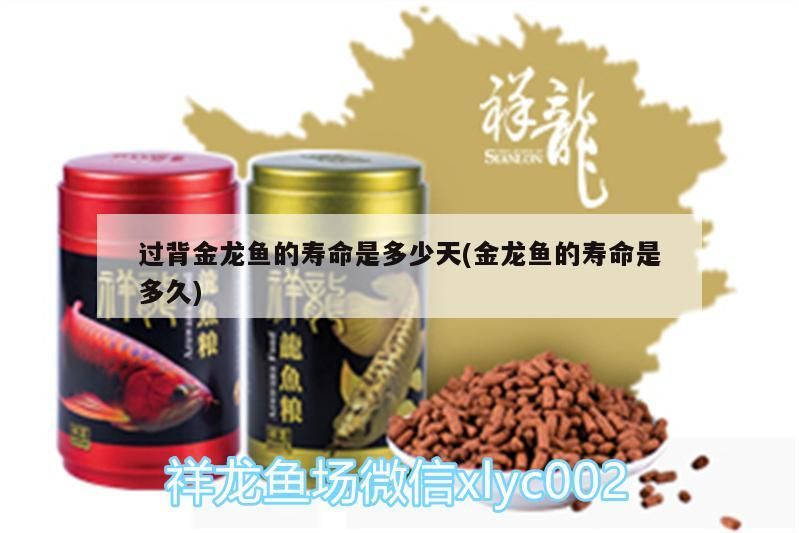 過背金龍魚的壽命是多少天(金龍魚的壽命是多久) 過背金龍魚的壽命是多少天(金龍魚的壽命是多久) 金龍魚百科