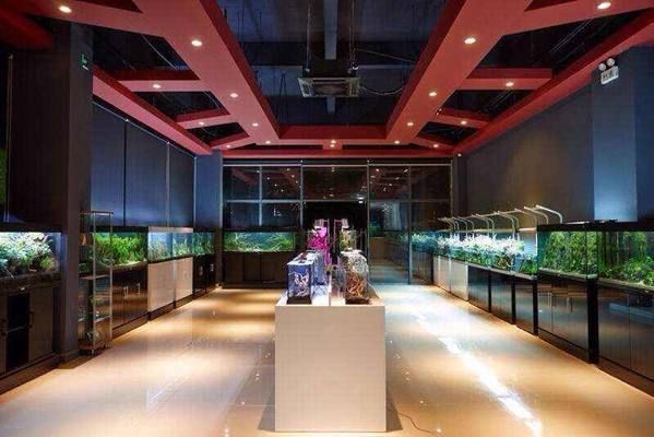 想開水族館不知道哪里進貨（廣州水族館魚缸和裝飾品需要從可靠的供應商處進貨） 想開水族館不知道哪里進貨（廣州水族館魚缸和裝飾品需要從可靠的供應商處進貨） 水族館百科（水族館加盟） 第2張