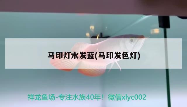 馬印燈水發藍(馬印發色燈)