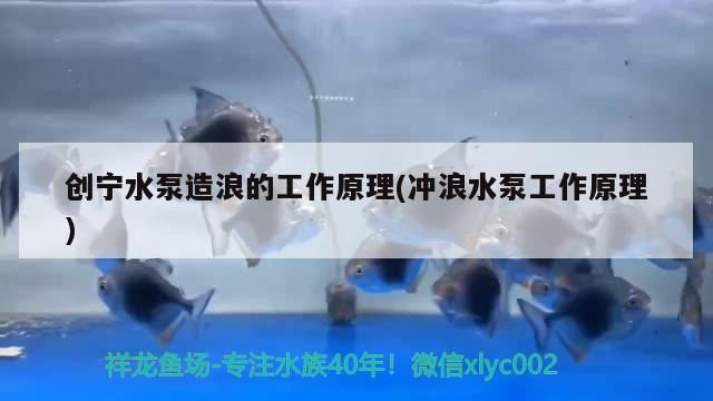 創寧水泵造浪的工作原理(沖浪水泵工作原理)