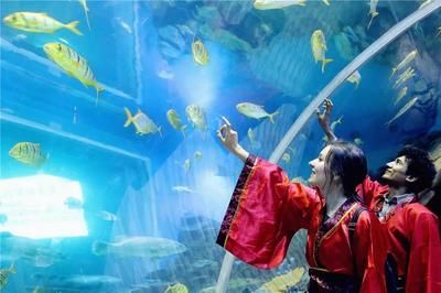 水族館怎么建的:水族館建設需要考慮多種因素和吸引游客并教育水族館建設 水族館百科(水族館加盟) 第2張 水族館怎么建的:水族館建設需要考慮多種因素和吸引游客并教育水族館建設 水族館怎么建的:水族館建設需要考慮多種因素和吸引游客并教育水族館建設 水族館百科(水族館加盟) 第2張