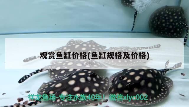 魚缸里放浮萍還用打氧嗎(魚缸里放浮萍魚都死了) 魚缸里放浮萍還用打氧嗎(魚缸里放浮萍魚都死了) 可麗愛魚缸 第2張