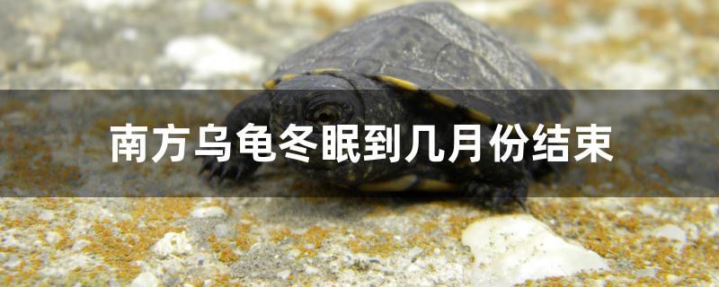 邯鄲二手魚缸交易市場在哪里呀（海寧定做魚缸哪家好一點(diǎn)）