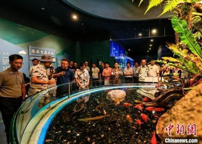 水族館的優勢：水族館在教育、娛樂、商業、科技和保護等多個領域都展現出顯著的優勢