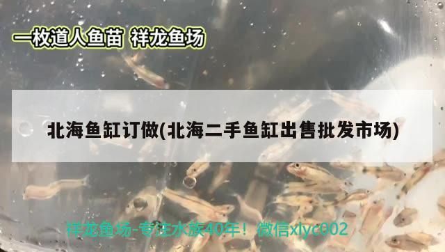 <strong><mark>北海</mark></strong>魚缸訂做(<strong><mark>北海</mark></strong>二手魚缸出售批發市場)