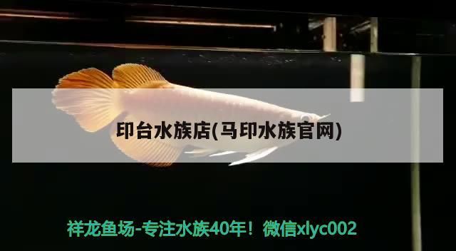印臺(tái)水族店(馬印水族官網(wǎng))