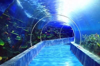 水族館裝修設計：關于水族館裝修設計 水族館裝修設計：關于水族館裝修設計 水族館百科（水族館加盟） 第2張
