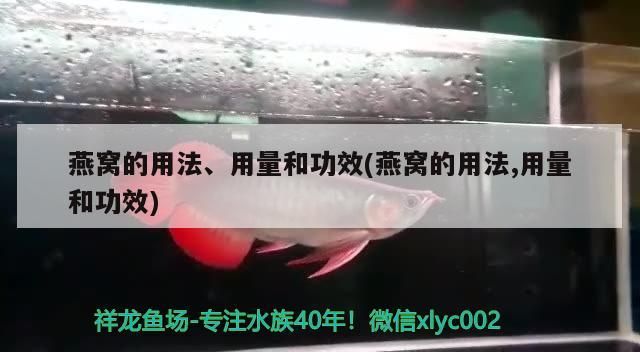 淮安魚缸批發市場地址在哪里呀（酉陽裝飾公司）