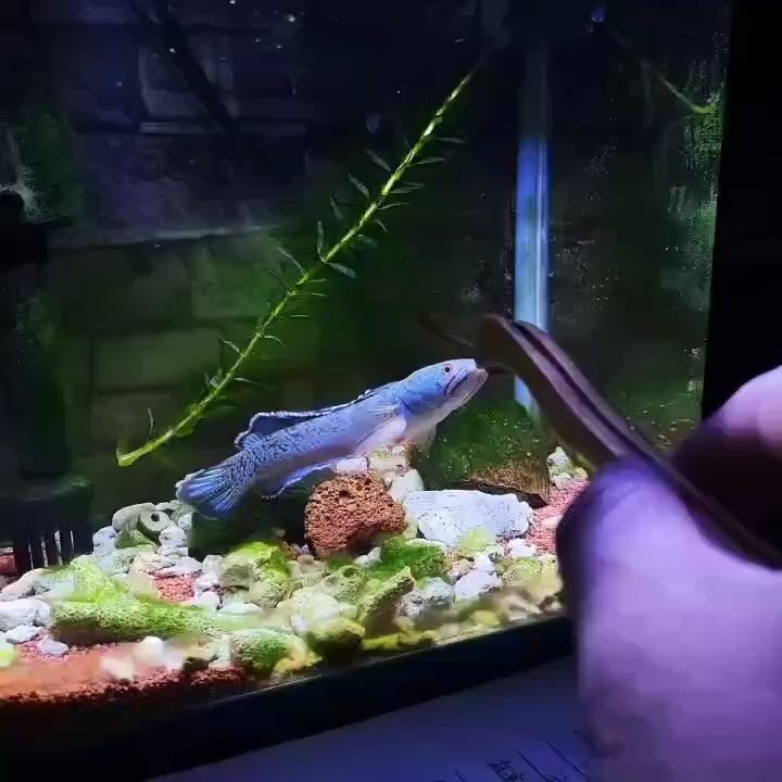 來財