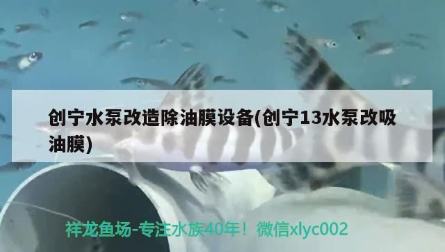 創寧水泵改造除油膜設備(創寧13水泵改吸油膜)