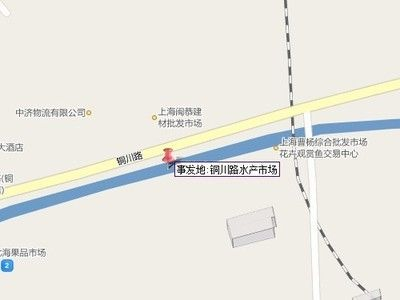 上海觀賞魚批發市場，上海觀賞魚批發市場的發展