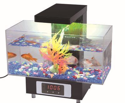 29升魚缸可養幾條金魚：養金魚的數量和魚缸的大小有一定關系，具體來說是有一定關系的