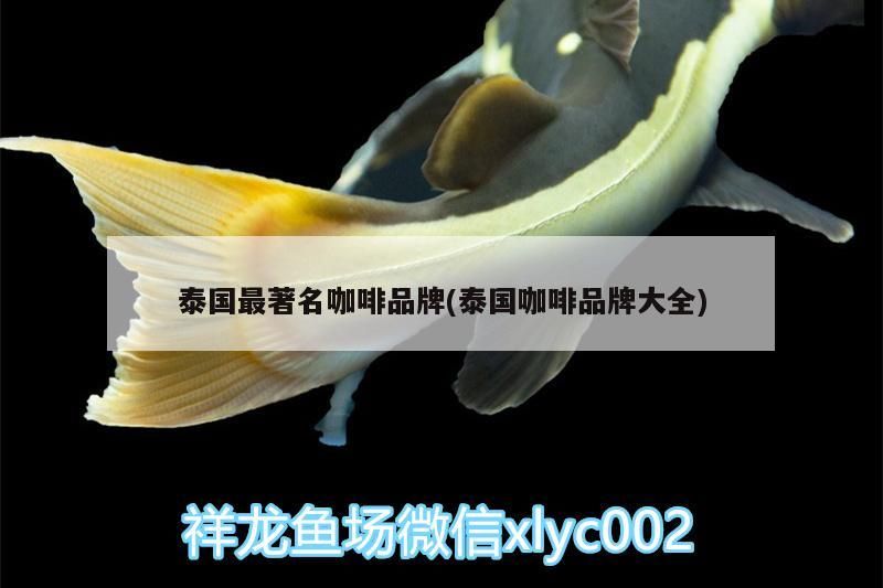 泰國(guó)最著名咖啡品牌(泰國(guó)咖啡品牌大全)