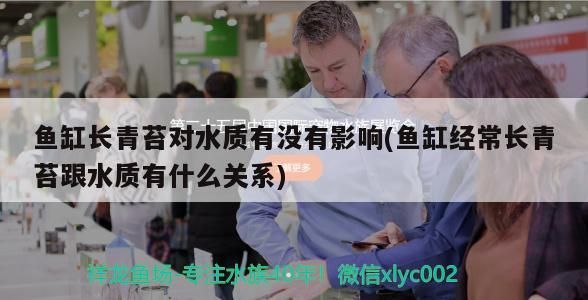 魚缸長青苔對水質有沒有影響(魚缸經常長青苔跟水質有什么關系) 魚缸長青苔對水質有沒有影響(魚缸經常長青苔跟水質有什么關系) 金龍魚百科