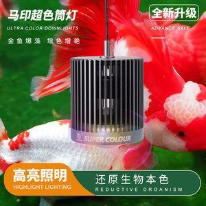 馬印神燈產(chǎn)地：馬印神燈的產(chǎn)地是中國嗎？ 馬印神燈產(chǎn)地：馬印神燈的產(chǎn)地是中國嗎？ 馬印水族 第3張