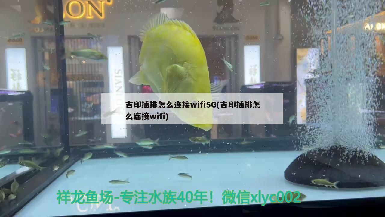 吉印插排怎么連接wifi5G(吉印插排怎么連接wifi) 吉印插排怎么連接wifi5G(吉印插排怎么連接wifi) 吉印水族
