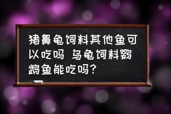 豬鼻龜的食物鸚鵡魚遲可以嗎：豬鼻龜吃鸚鵡魚嗎 豬鼻龜的食物鸚鵡魚遲可以嗎：豬鼻龜吃鸚鵡魚嗎 豬鼻龜百科 第7張