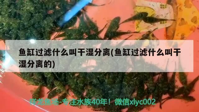 伊罕加熱棒指示燈作用(伊罕加熱棒出廠設(shè)置)