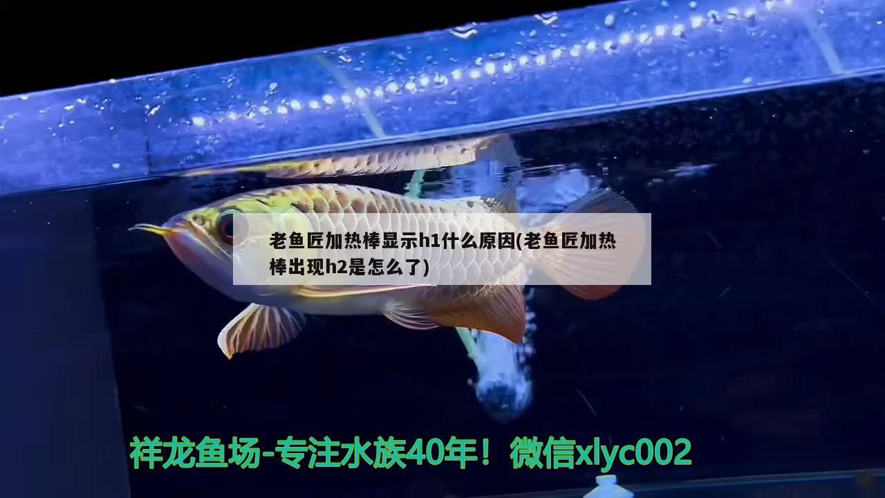 魚缸 老魚匠加熱棒顯示h1什么原因(老魚匠加熱棒出現h2是怎么了) 老魚匠 老魚匠加熱棒顯示h1什么原因(老魚匠加熱棒出現h2是怎么了) 老魚匠加熱棒顯示h1什么原因(老魚匠加熱棒出現h2是怎么了) 老魚匠