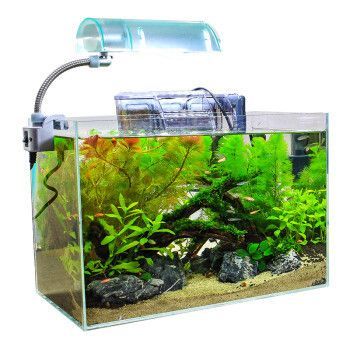 5毫米玻璃魚缸圖片：如何選擇合適的玻璃魚缸