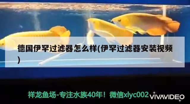 德國伊罕過濾器怎么樣(伊罕過濾器安裝視頻) 德國伊罕過濾器怎么樣(伊罕過濾器安裝視頻) 伊罕水族