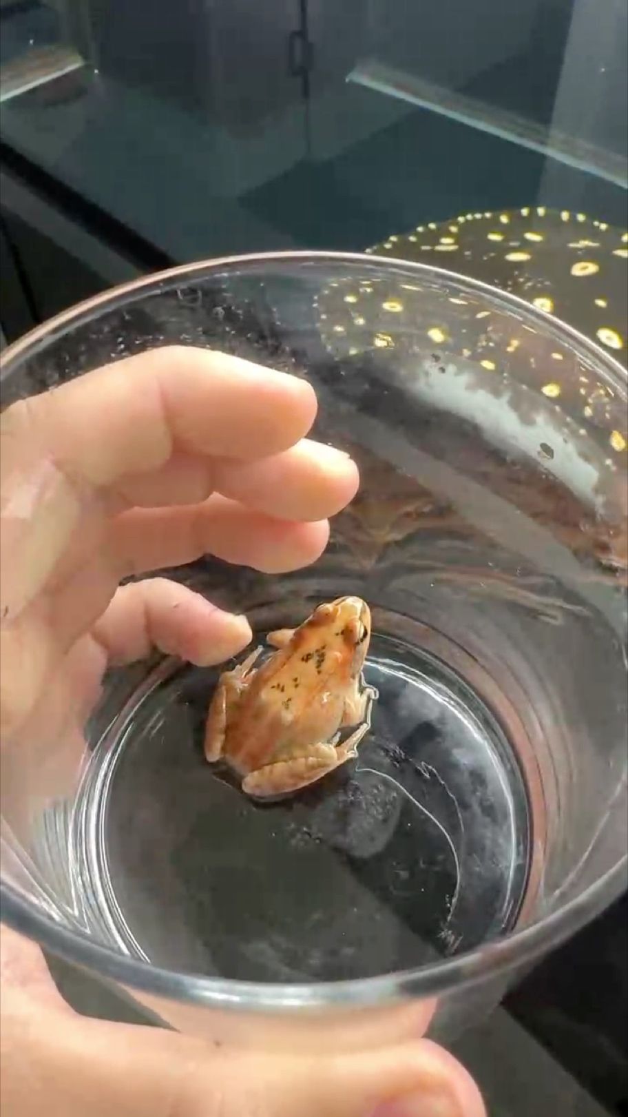 小零食