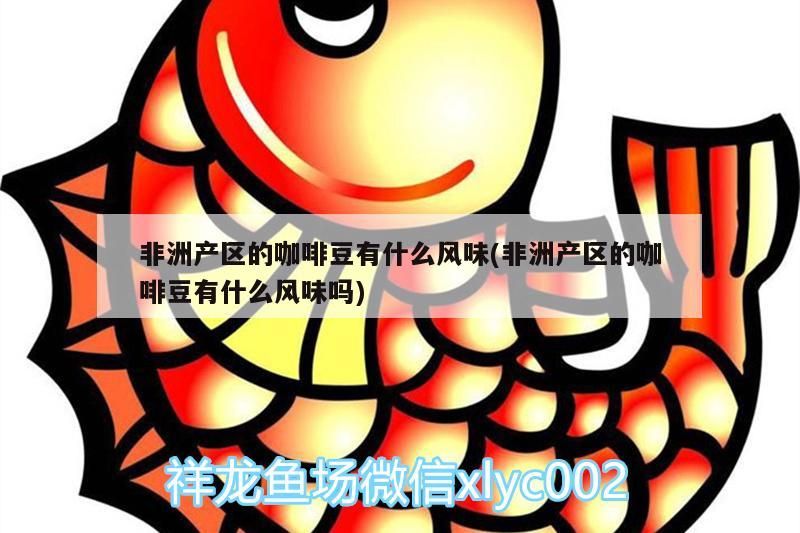 非洲產區的咖啡豆有什么風味(非洲產區的咖啡豆有什么風味嗎)