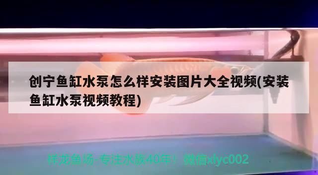 創寧魚缸水泵怎么樣安裝圖片大全視頻(安裝魚缸水泵視頻教程)