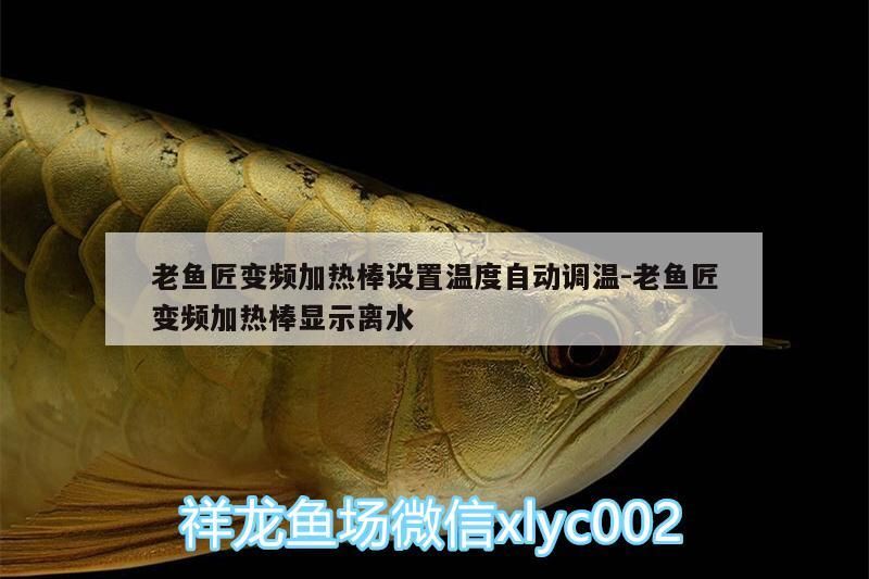 魚缸用增氧泵價格是多少:魚缸增氧機(jī)-xtrac增氧機(jī)-xtrac增氧機(jī) 老魚匠變頻加熱棒設(shè)置溫度自動調(diào)溫:老魚匠變頻加熱棒顯示離水 老魚匠 老魚匠變頻加熱棒設(shè)置溫度自動調(diào)溫:老魚匠變頻加熱棒顯示離水 老魚匠變頻加熱棒設(shè)置溫度自動調(diào)溫:老魚匠變頻加熱棒顯示離水 老魚匠