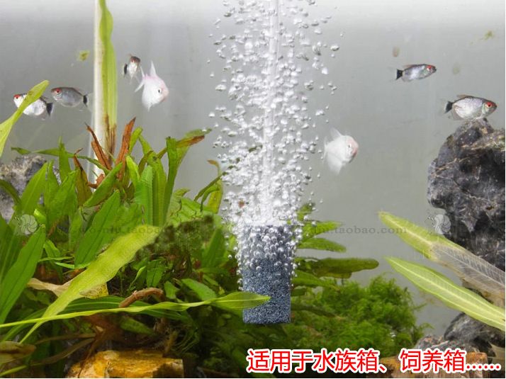 伊罕過濾桶過濾不干凈（伊罕過濾桶過濾不干凈怎么辦）