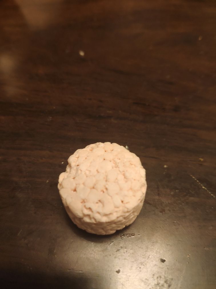 謝家集區博意觀賞魚店