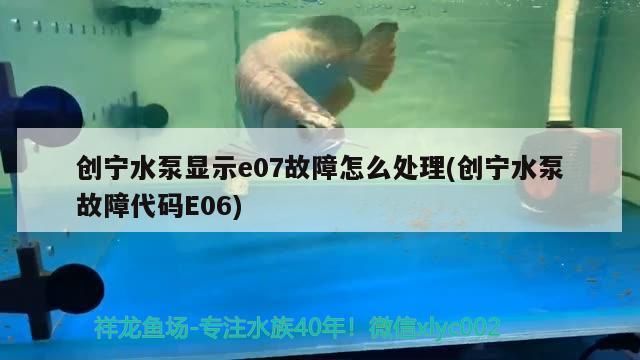 魚(yú)缸過(guò)濾器選購(gòu)指南:自制魚(yú)缸過(guò)濾器魚(yú)缸上置過(guò)濾器對(duì)于養(yǎng)魚(yú)愛(ài)好者的必備知識(shí) 創(chuàng)寧水泵顯示e07故障怎么處理(創(chuàng)寧水泵故障代碼E06) 創(chuàng)寧水族 創(chuàng)寧水泵顯示e07故障怎么處理(創(chuàng)寧水泵故障代碼E06) 創(chuàng)寧水泵顯示e07故障怎么處理(創(chuàng)寧水泵故障代碼E06) 創(chuàng)寧水族
