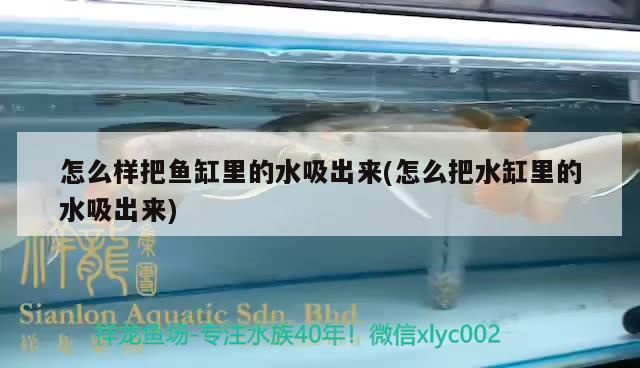 怎么樣把魚缸里的水吸出來(怎么把水缸里的水吸出來) 怎么樣把魚缸里的水吸出來(怎么把水缸里的水吸出來) iwish愛唯希品牌魚缸