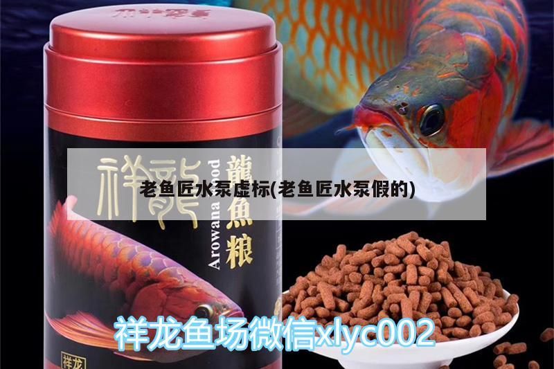 老魚匠水泵虛標(老魚匠水泵假的)