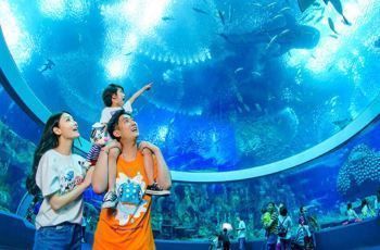 長隆水族館有什么魚（世界上最大的海洋主題公園之一長隆水族館海洋生物多樣性）