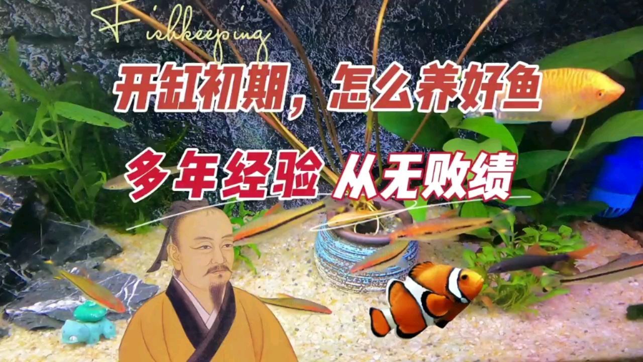 沙漠造景魚缸設計（ 沙漠 造景）