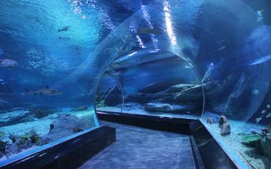 怎么開一家水族館（開一家水族館的詳細步驟和注意事項和注意事項） 怎么開一家水族館（開一家水族館的詳細步驟和注意事項和注意事項） 水族館百科（水族館加盟） 第1張
