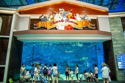 怎么開一家水族館（開一家水族館的詳細步驟和注意事項和注意事項） 怎么開一家水族館（開一家水族館的詳細步驟和注意事項和注意事項） 水族館百科（水族館加盟） 第3張
