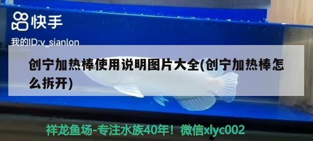 龍魚干蝦有營養嗎 創寧加熱棒使用說明圖片大全(創寧加熱棒怎么拆開) 創寧水族 創寧加熱棒使用說明圖片大全(創寧加熱棒怎么拆開) 創寧加熱棒使用說明圖片大全(創寧加熱棒怎么拆開) 創寧水族